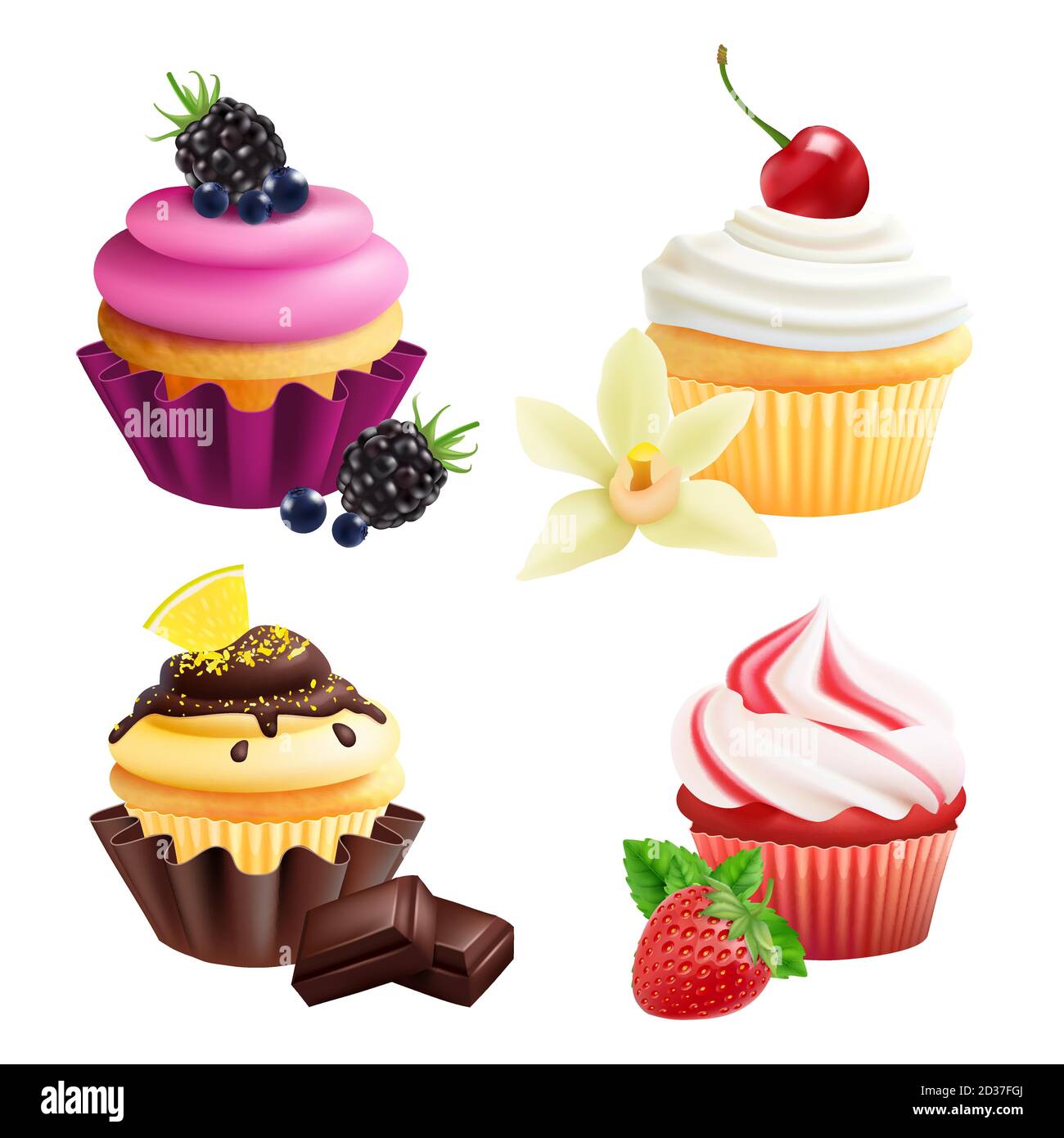 Collection de petits gâteaux. Muffins réalistes à la crème, aux fruits, à la vanille et au chocolat. Cupcakes vectoriels isolés sur fond blanc Illustration de Vecteur