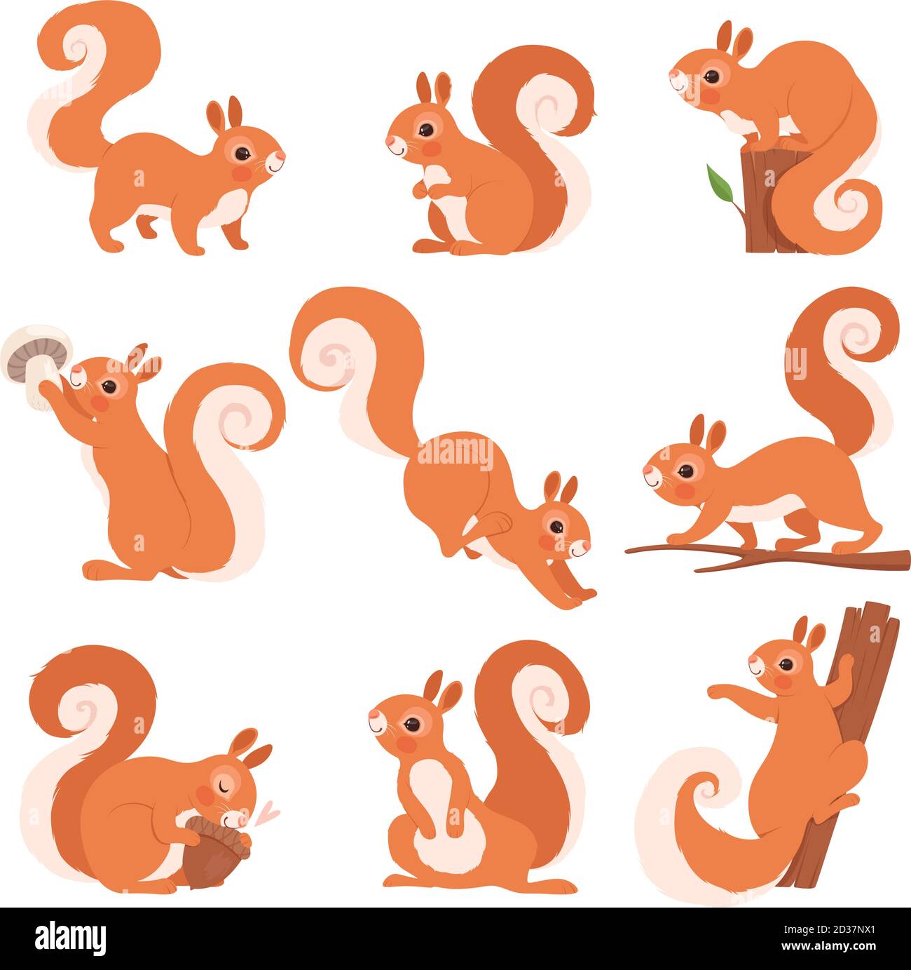 Écureuil de dessin animé. Forêt drôle animaux sauvages course debout et jumper vecteur écureuil clip art collection Illustration de Vecteur
