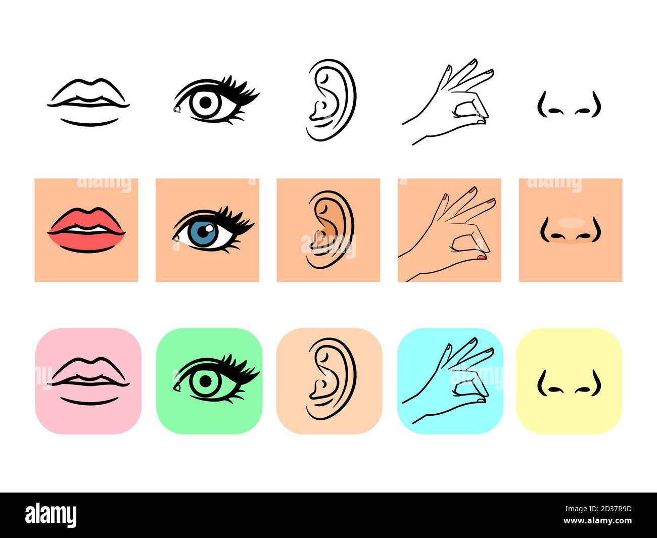 Détecte les icônes. Cinq sens humains illustratifs illustration vectorielle, goût et odeur, lignes et icônes de couleur Illustration de Vecteur