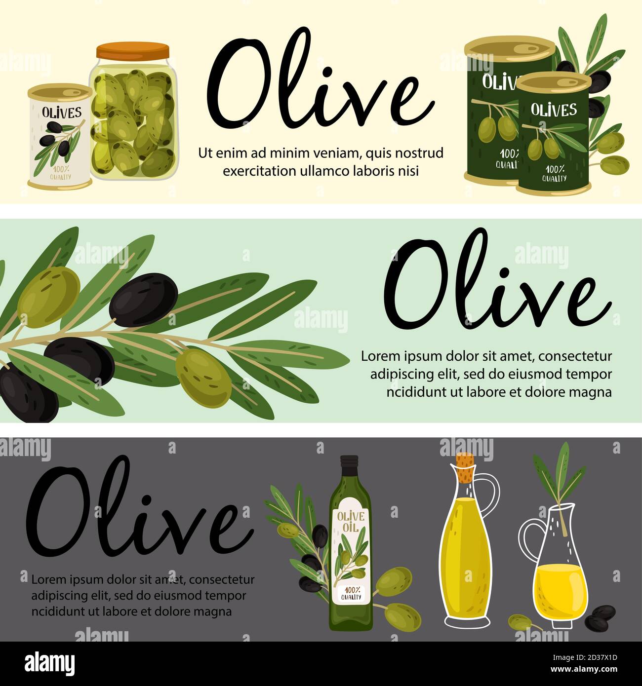 Modèle de bannières olive. Illustration des produits biologiques d'olive et des vecteurs végétaux. Produit huile fruits, plante mûre olive biologique Illustration de Vecteur