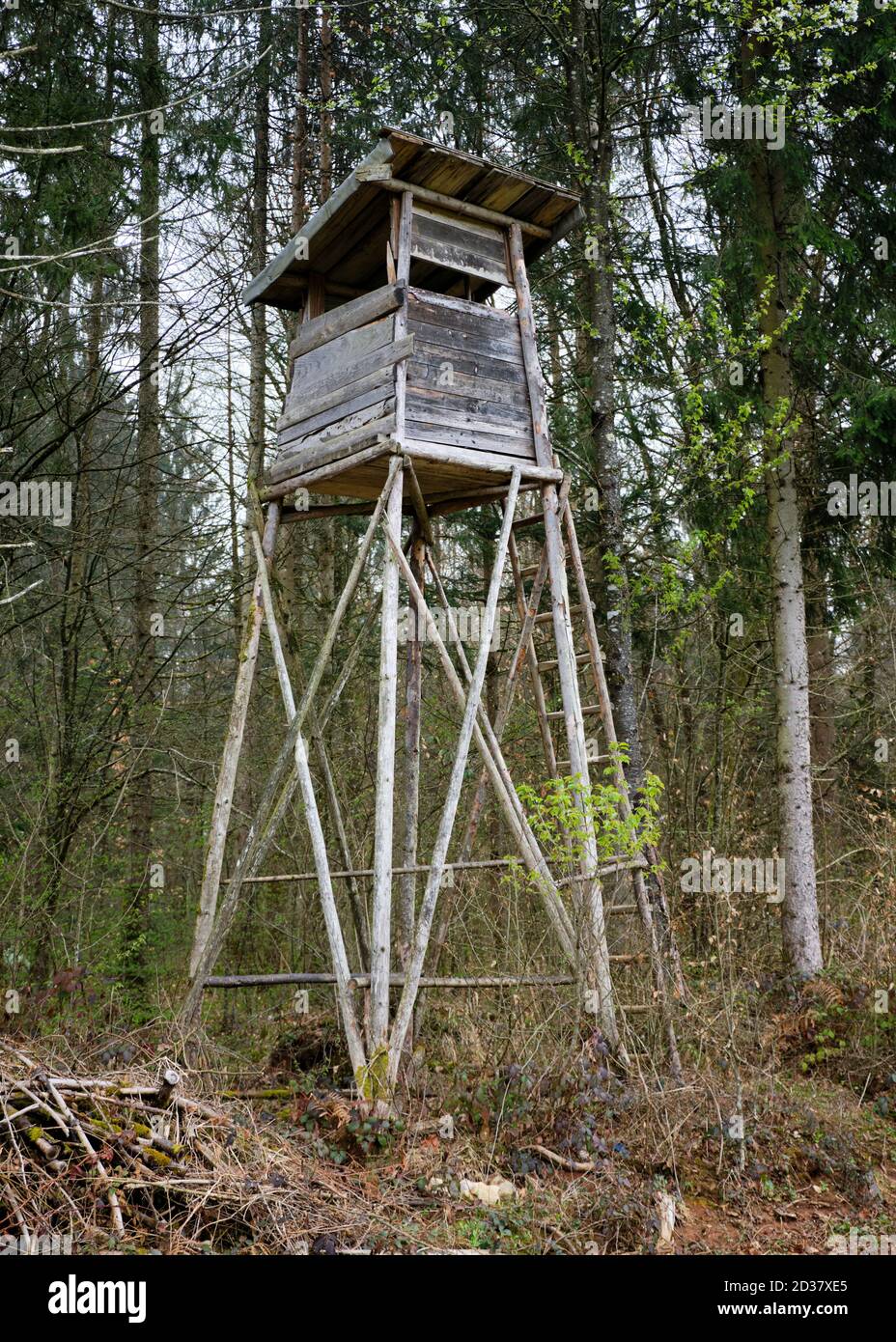 Plate-forme de cachette en bois rustique vintage pour la chasse dans la forêt slovène Banque D'Images
