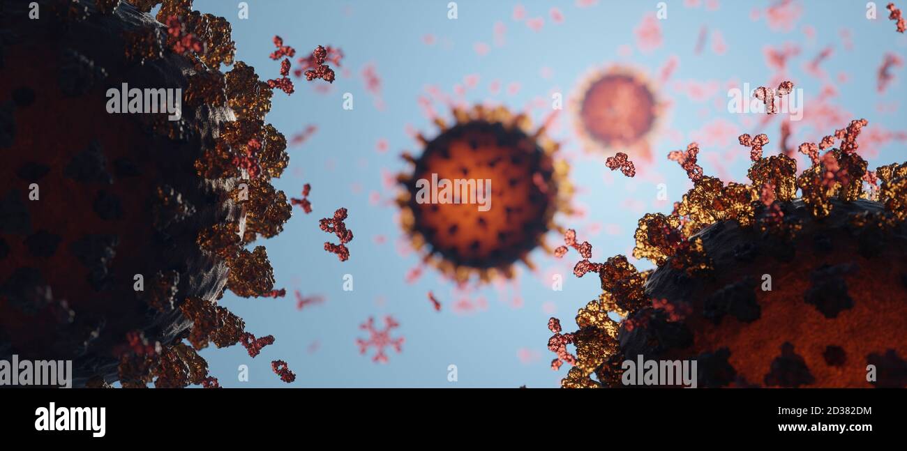 Anticorps humains (IgG et IgM) attaquant un virus Corona (SRAS-COV-2, Covid 19). Un modèle précis basé sur des données structurelles scientifiques de l'APB. Banque D'Images