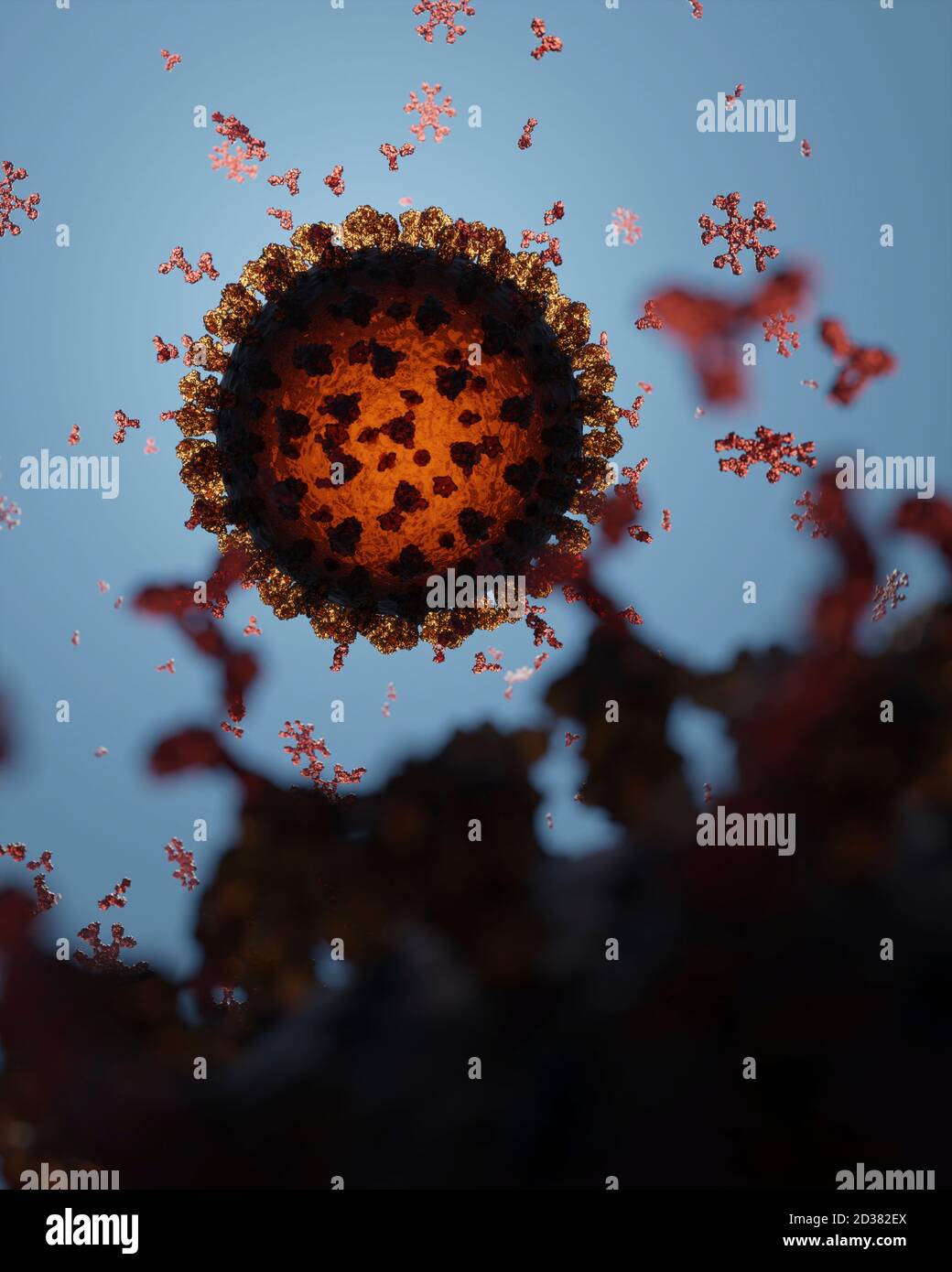 Anticorps humains (IgG et IgM) attaquant un virus Corona (SRAS-COV-2, Covid 19). Un modèle précis basé sur des données structurelles scientifiques de l'APB. Banque D'Images