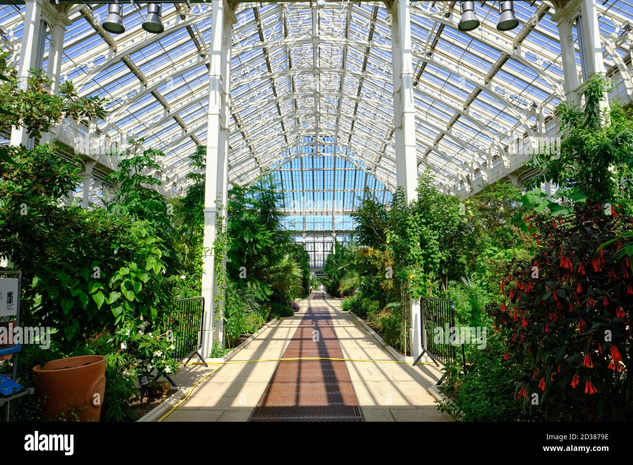 La maison Temperate dans les jardins botaniques royaux, Kew, la plus grande des célèbres serres de verre victoriennes. Banque D'Images
