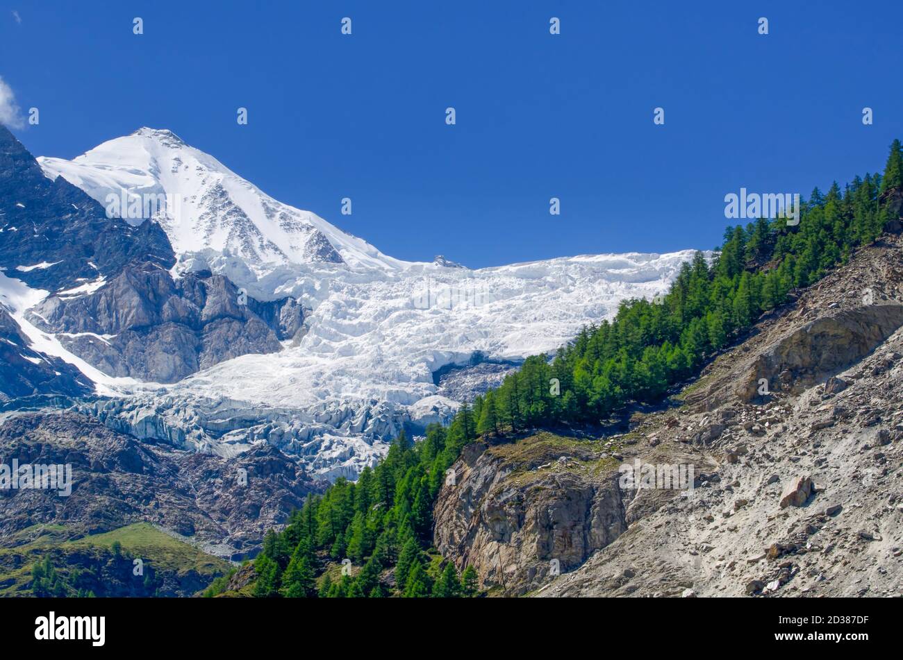 Glacier de neige et arbres avec ciel clair en Suisse. Banque D'Images