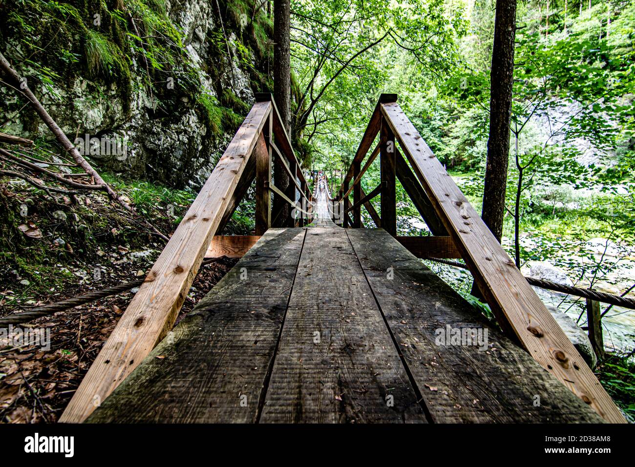 Nouveau pont en bois en forêt d'été dans la vallée de Robanoc Kot, en Slovénie Banque D'Images