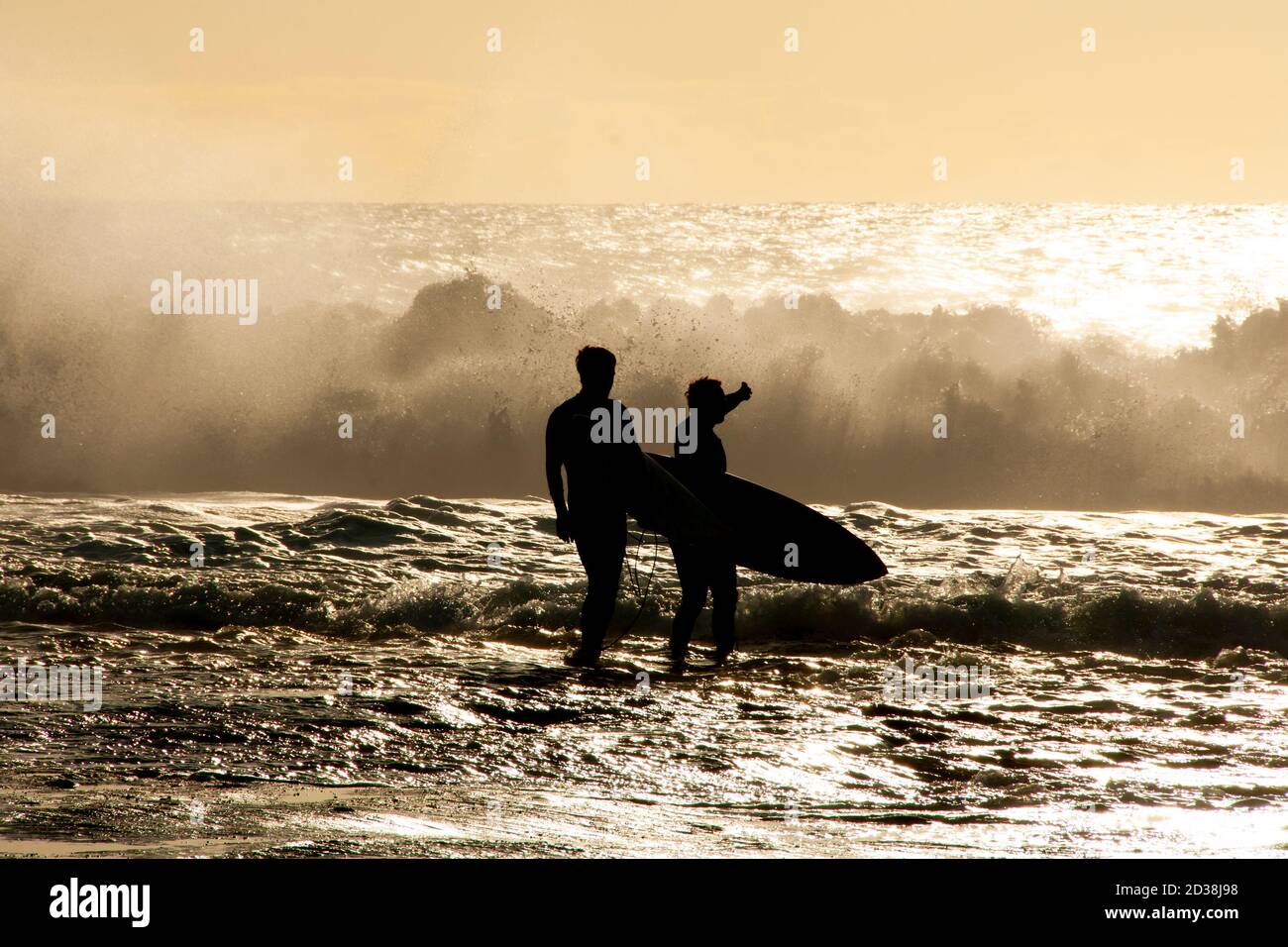 Silhouette des surfeurs dans l'océan Banque D'Images