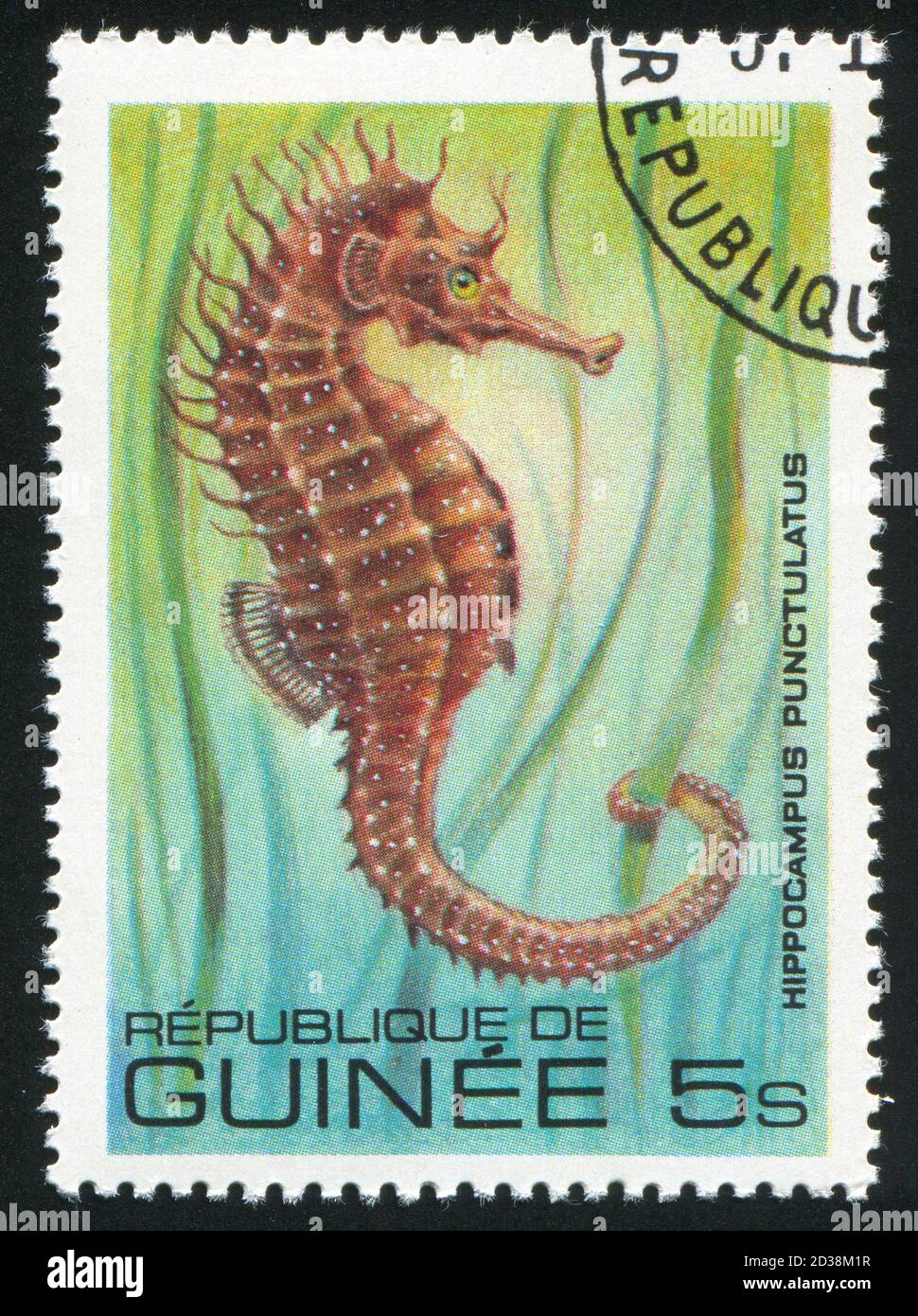 GUINÉE VERS 1980: Timbre imprimé par la Guinée, montre le cheval de mer, vers 1980 Banque D'Images