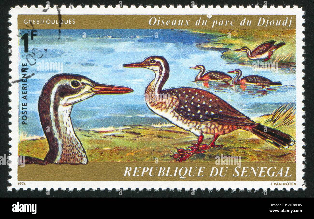 SÉNÉGAL - VERS 1974: Timbre imprimé par le Sénégal, montre Finfoots, vers 1974 Banque D'Images