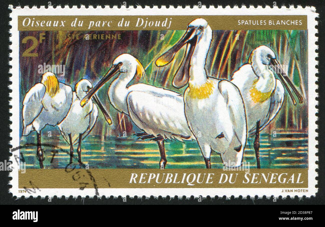 SÉNÉGAL - VERS 1974: Timbre imprimé par le Sénégal, montre des Spoonbills, vers 1974 Banque D'Images
