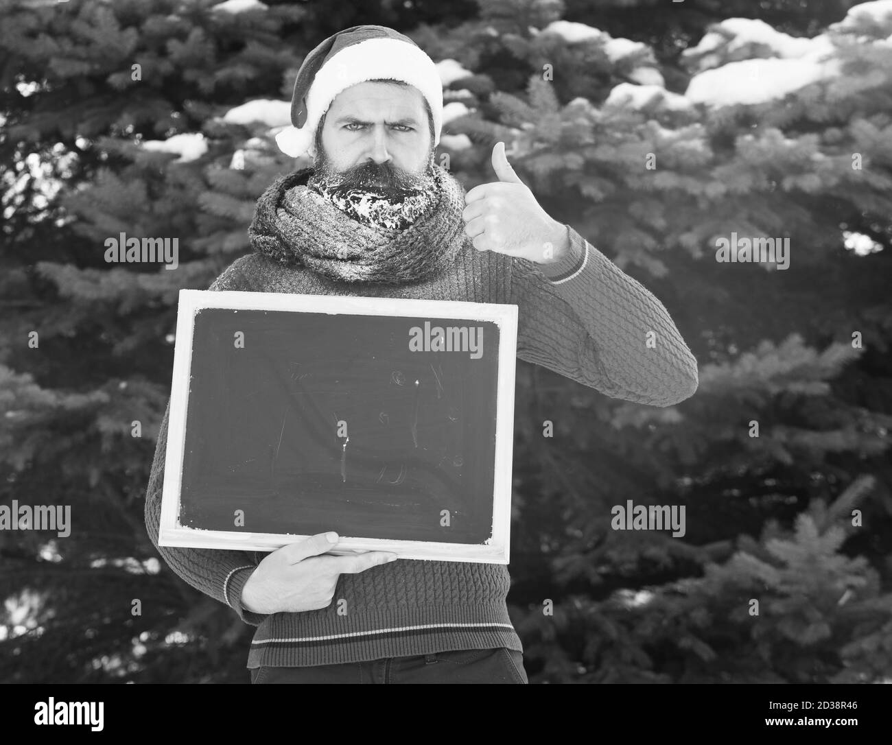 L'homme fronce dans santa claus hat, hipster avec barbe et moustache recouverte de givre, avec tableau noir ou tableau blanc donne Thumbs up geste sur journée d'hiver sur fond naturel, copy space Banque D'Images L'homme fronce dans santa claus hat, hipster avec barbe et moustache recouverte de givre, avec tableau noir ou tableau blanc donne Thumbs up geste sur journée d'hiver sur fond naturel, copy space Banque D'Images