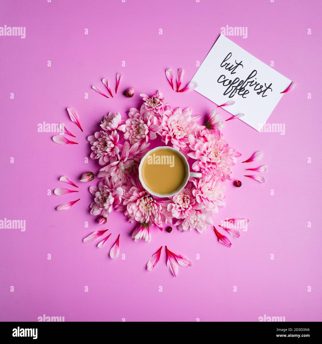 Carte photo vue du dessus STILL Life avec inscription mais premier café, café avec lait dans une tasse avec fleurs de chrysanthème autour d'elle sur fond rose. Banque D'Images