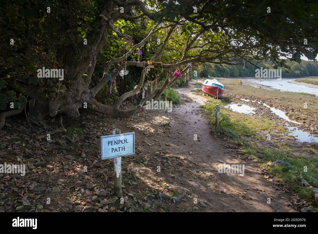 Diverses décorations colorées accrochées à des branches d'un arbre le long du chemin Penpol sur le Gannel à Newquay en Cornouailles. Banque D'Images