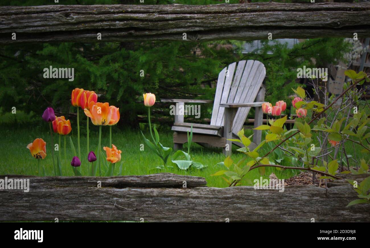 Un fauteuil rustique invite à admirer un magnifique paysage au jardin botanique de Montréal, dans une composition qui transmet des sentiments opposés. Banque D'Images