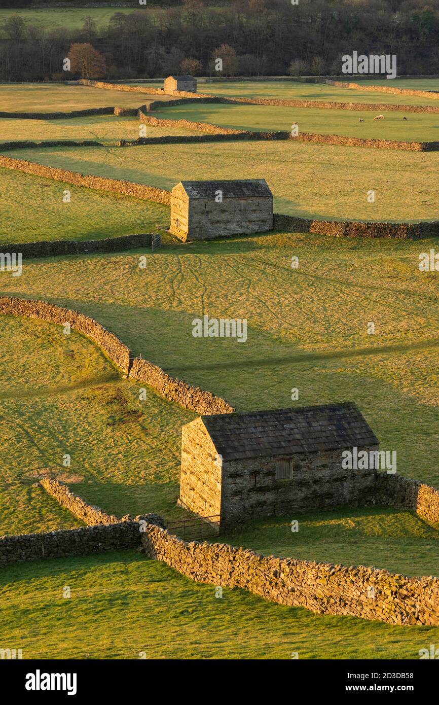 Granges de Stone Field à Gunnerside, Swaledale, North Yorkshire, parc national de Yorkshire Dales. Hiver (février 2019) Banque D'Images