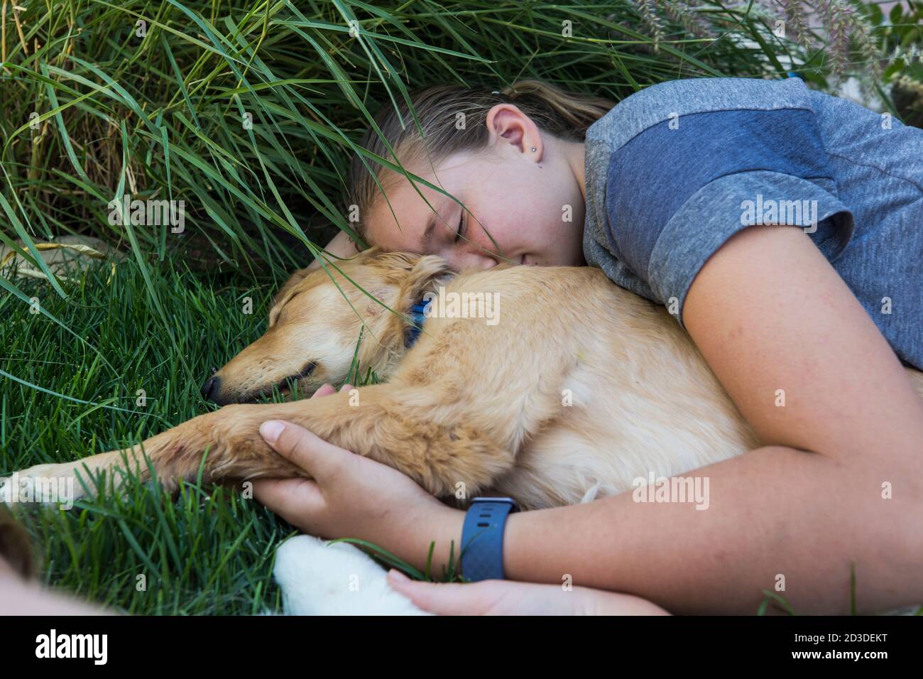 Adolescente couchée sur une pelouse, embrassant ses chiens Golden Retriever. Banque D'Images