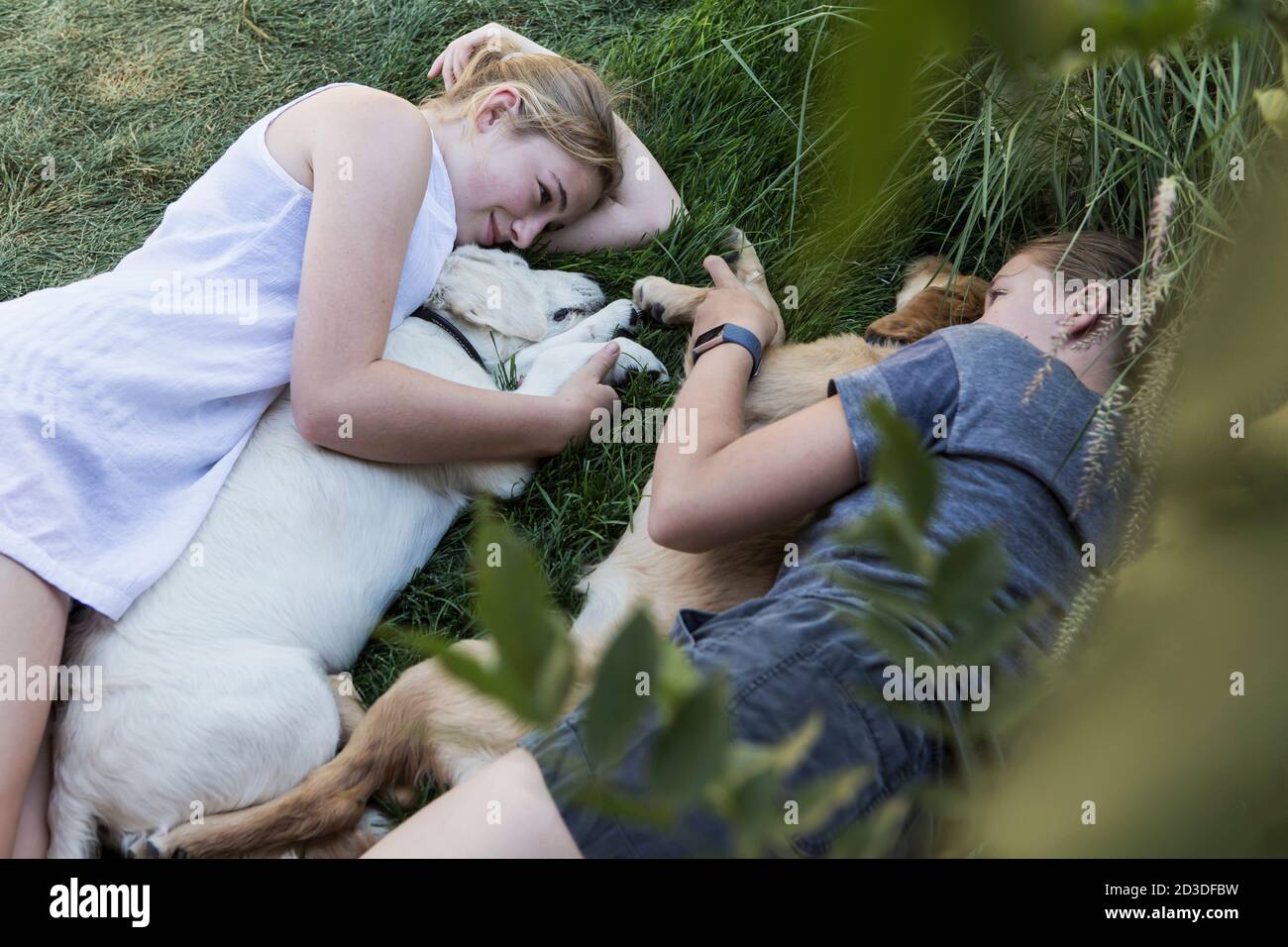Deux adolescentes qui s'étreignent sur la pelouse et embrasent leurs chiens Golden Retriever. Banque D'Images