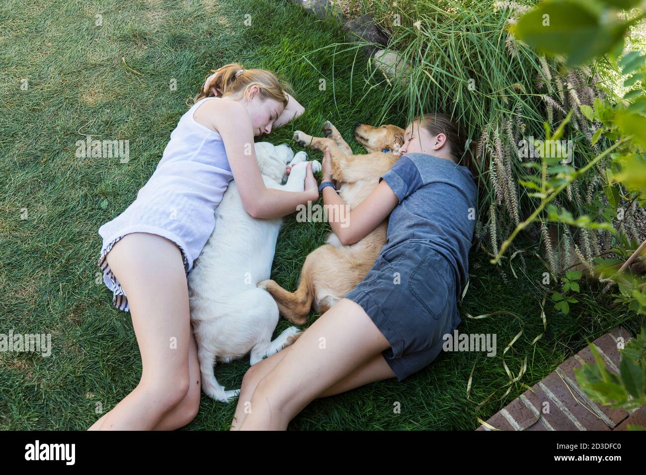 Deux adolescentes qui s'étreignent sur la pelouse et embrasent leurs chiens Golden Retriever. Banque D'Images