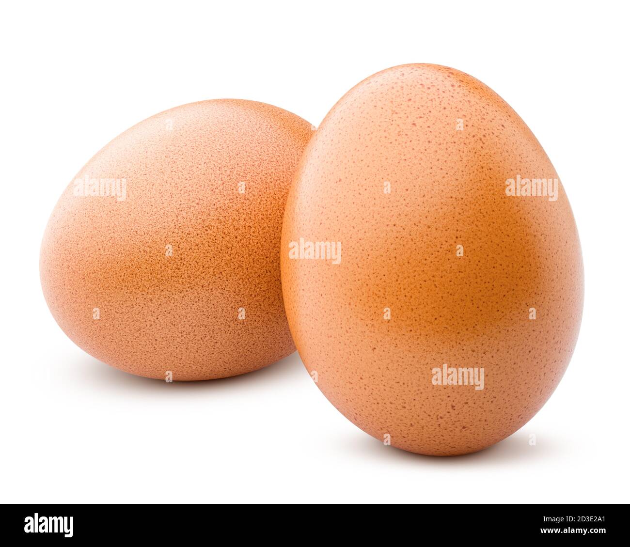 oeuf de poulet, isolé sur fond blanc, chemin de coupure, profondeur de champ complète Banque D'Images