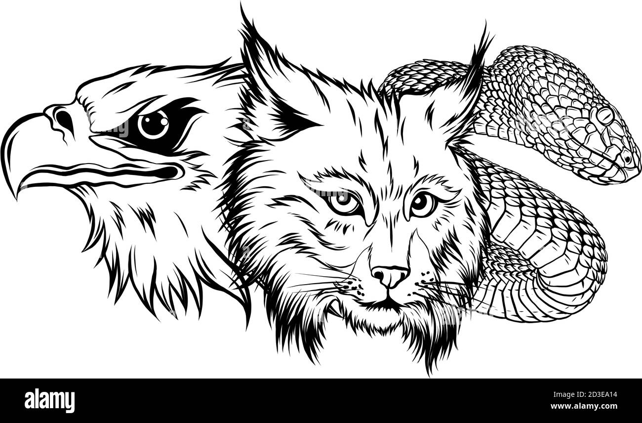 Lynx Wildcat aigle serpent logo Mascot Illustration de Vecteur