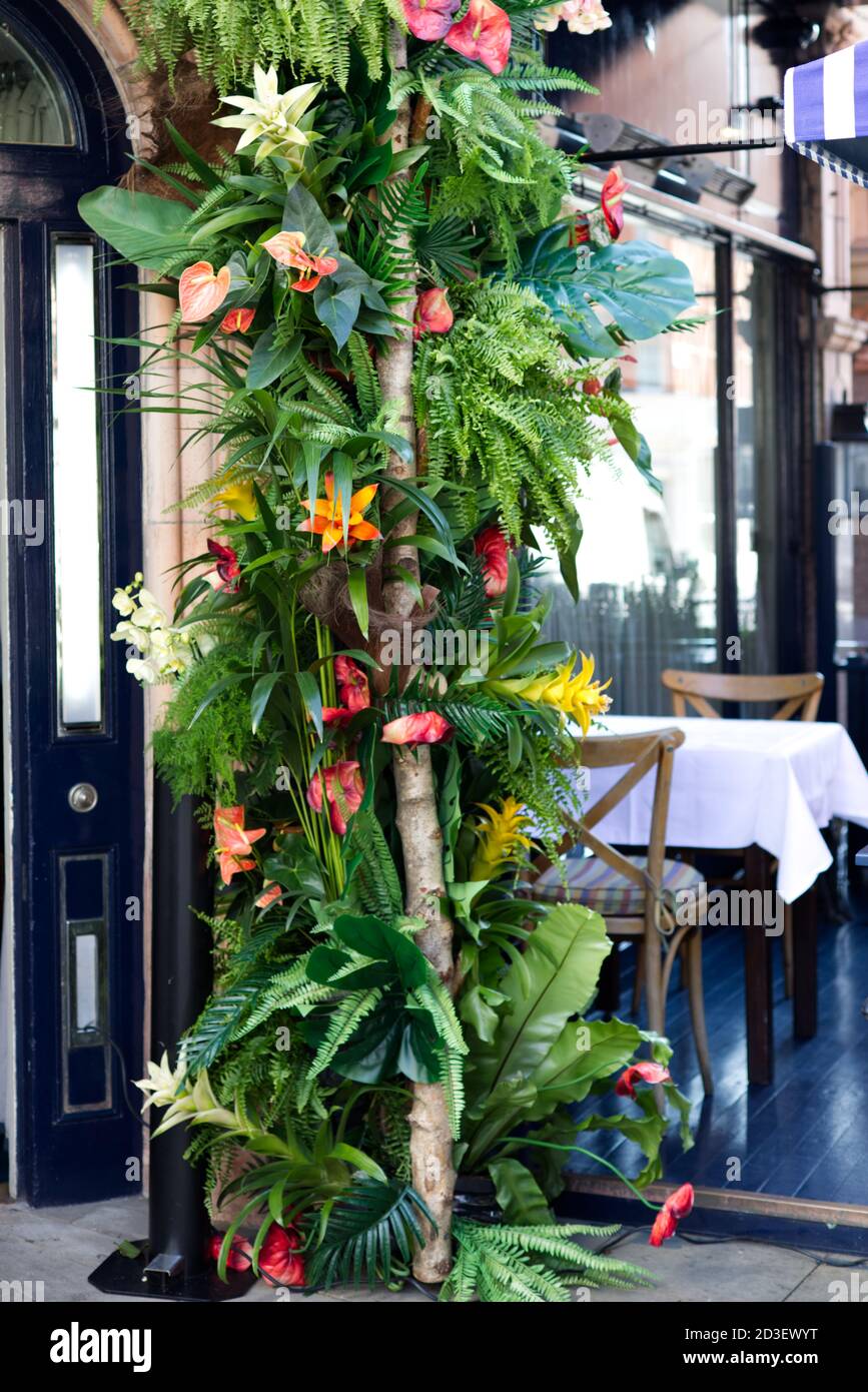 Fleurs exotiques dans un restaurant Banque D'Images