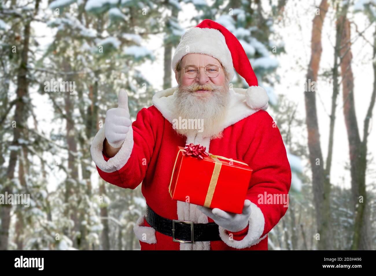 Joyeux Père Noël sur fond de nature. Banque D'Images