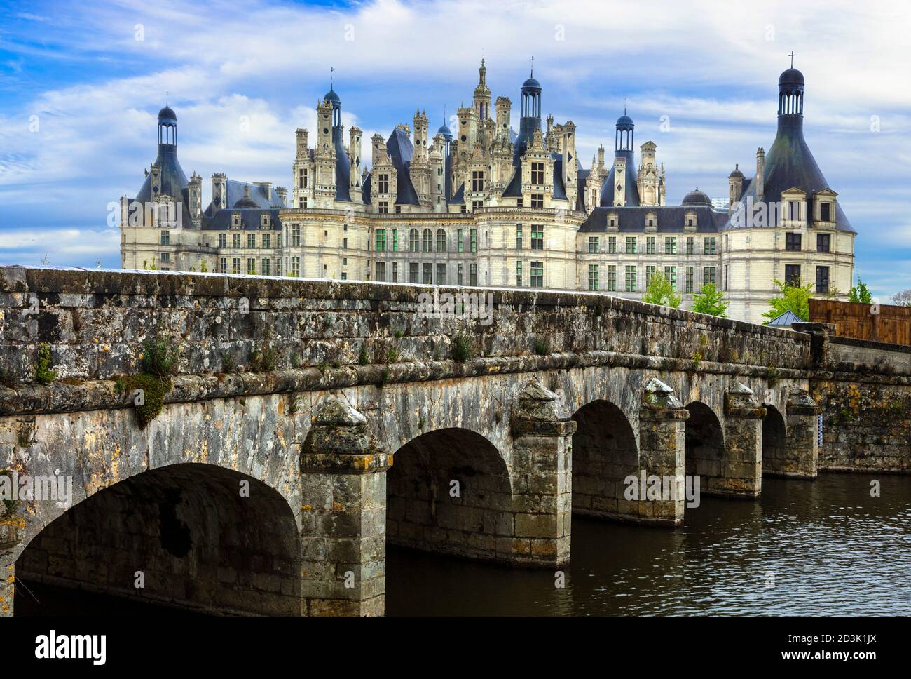 Château de Chambord - chef-d'œuvre de l'architecture de la Renaissance. Célèbre vallée de la Loire en France Banque D'Images