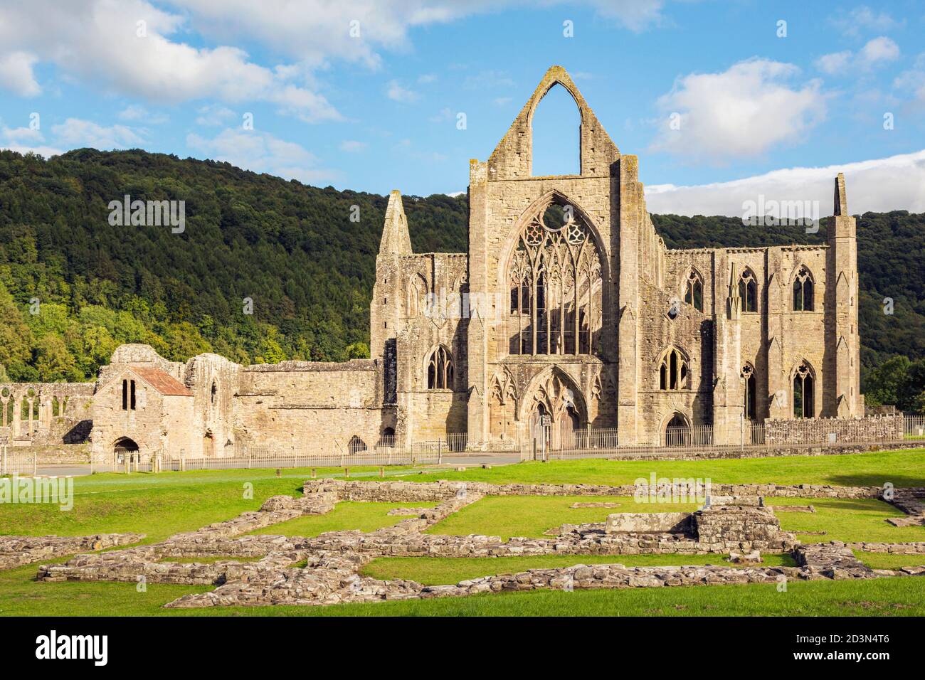 Abbaye de Tintern, Monbucshire, pays de Galles, Royaume-Uni. L'abbaye cistercienne tomba en ruine après la dissolution des monastères sous le règne du roi Banque D'Images
