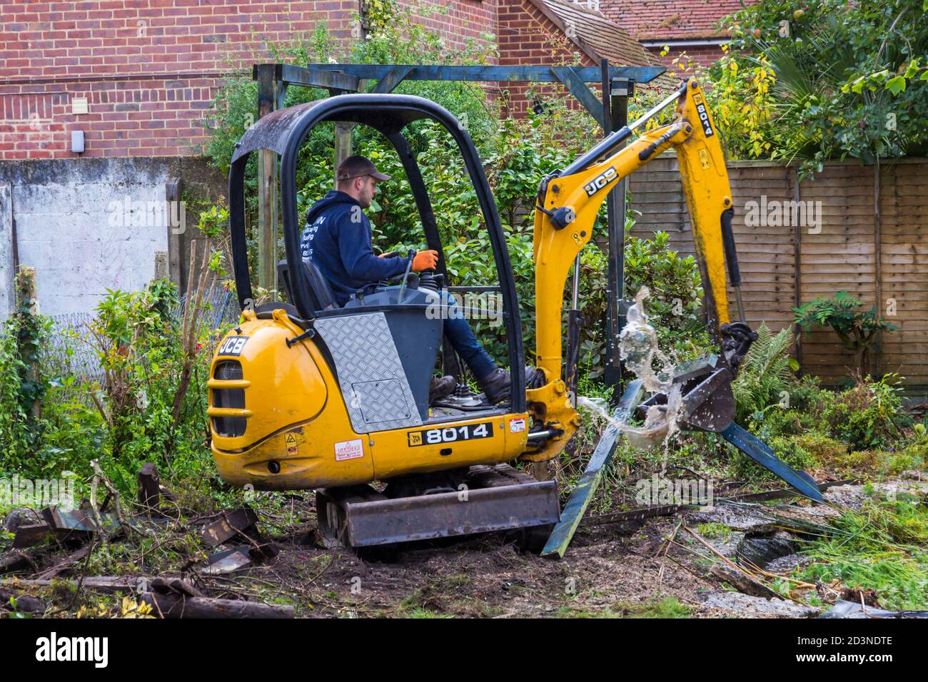 Travaux de déstockage et de rénovation du jardin en octobre à Bournemouth, Dorset, Royaume-Uni - travailleur exploitant la mini pelle hydraulique JCB Banque D'Images