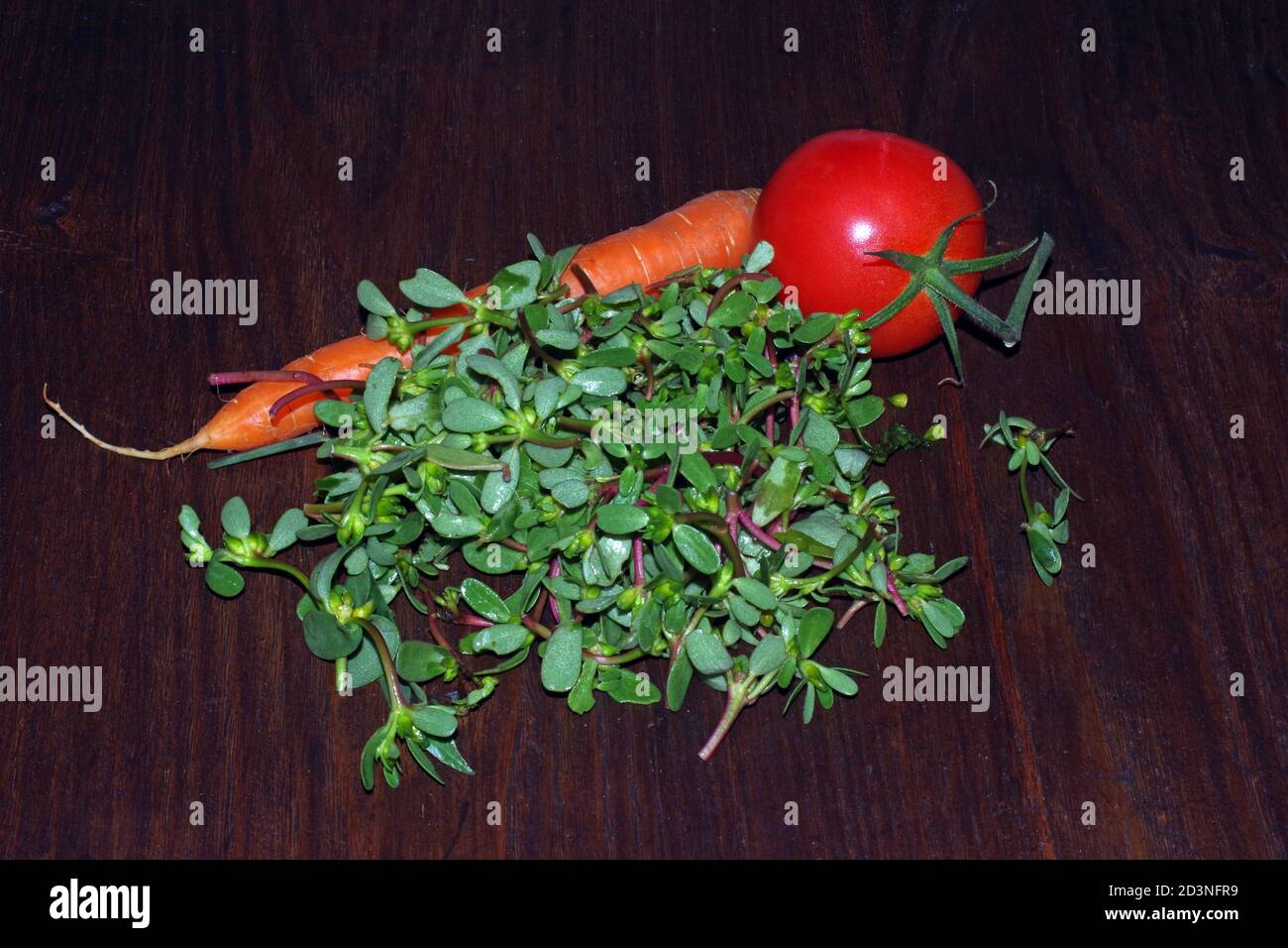 Purslaner (portulaca oleracea) avec légumes Banque D'Images