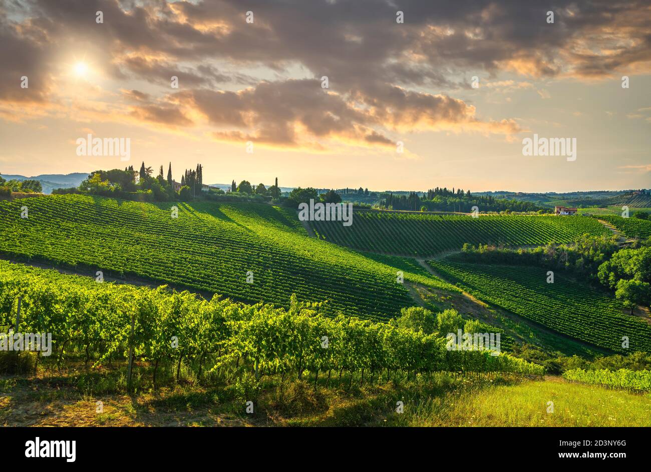 Vue panoramique sur la campagne du chianti et les vignobles de la véranda. San Gimignano au coucher du soleil. Toscane, Italie, Europe. Banque D'Images