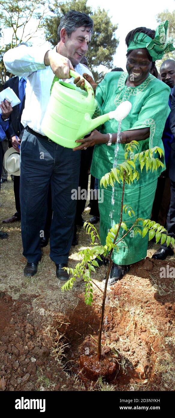 Britain S Chancellor Of The Exchequer Gordon Brown Waters A Tree After Planting It With Wangari Maathai Nobel Peace Prize Winner At Freedom Corner Uhuru Park In Nairobi Britain S Chancellor Of The Exchequer