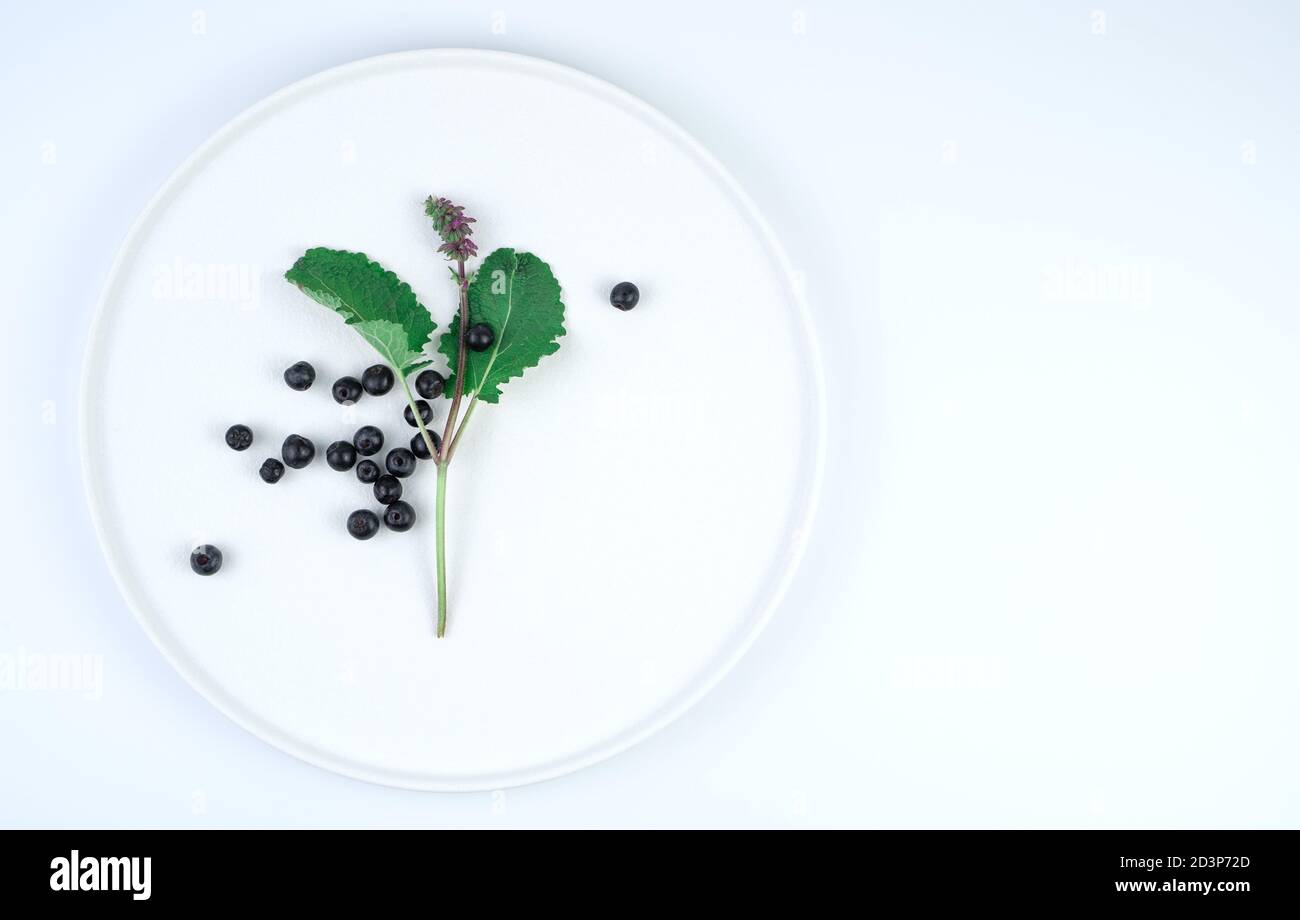 Baies de mûres de fraise avec une branche verte sur une assiette blanche. Banque D'Images