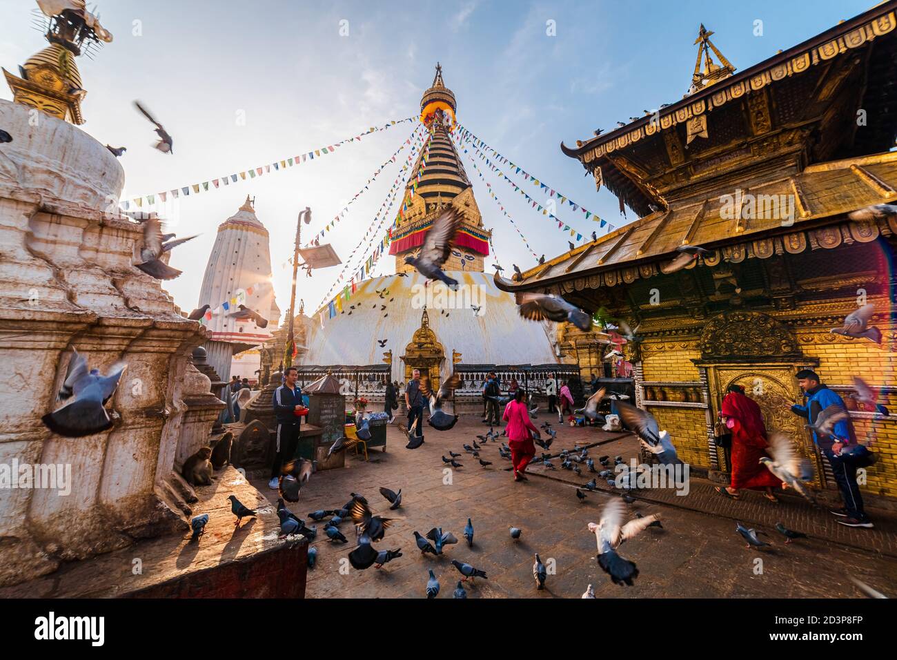 Vue panoramique sur le Saint Swayambhunath Stupa tôt le matin. Les gens offrent des prières, des pigeons qui volent au lever du soleil. Site du patrimoine mondial. Banque D'Images