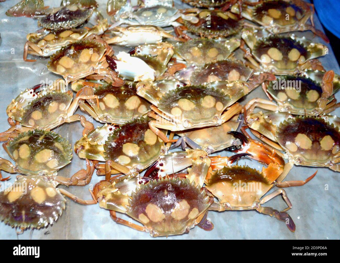 Poissons de fruits de mer frais traditionnels photographiés sur le marché aux poissons Banque D'Images