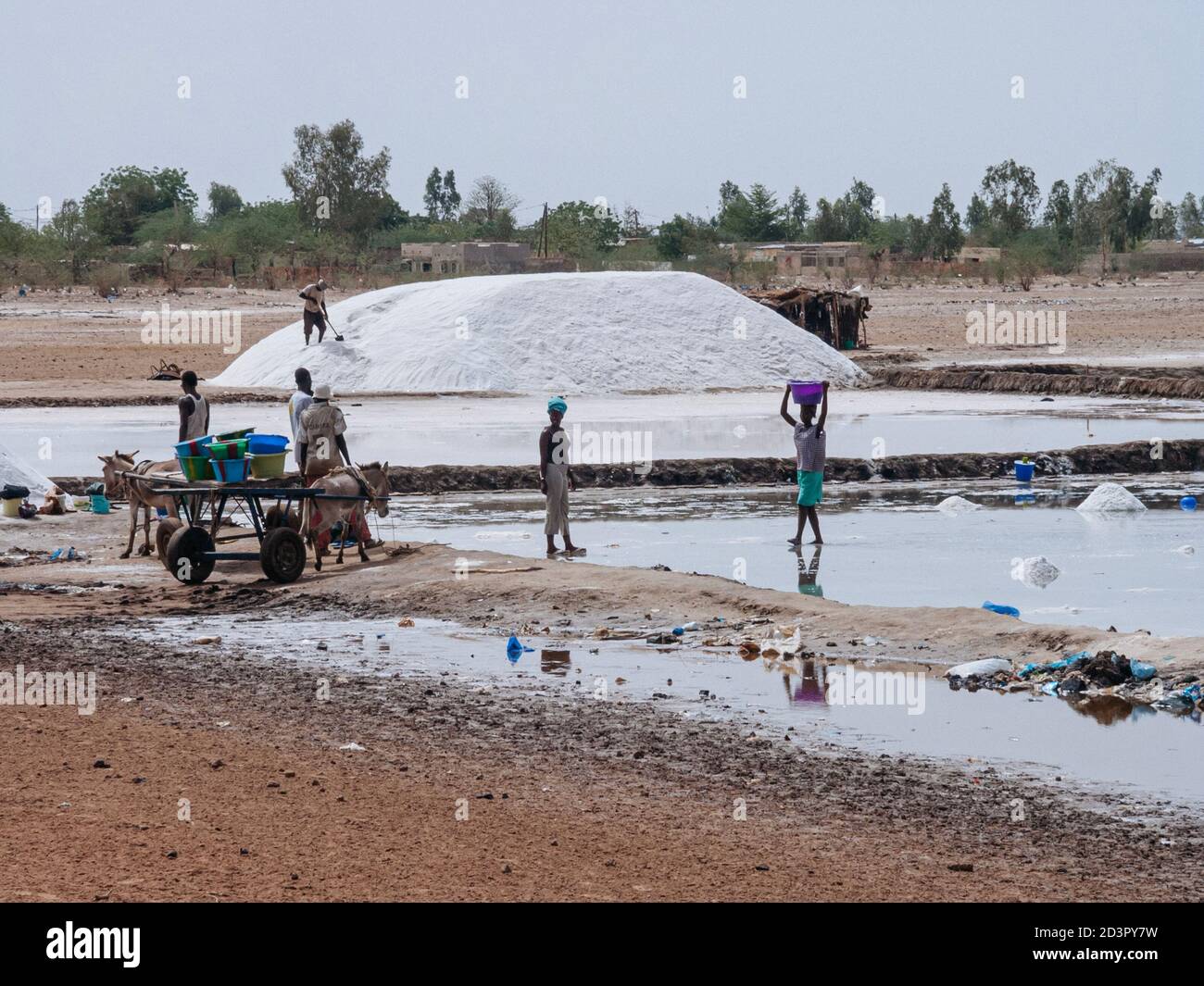Une équipe de travailleurs récolte du sel dans les plaines de Fatick Sénégal Banque D'Images