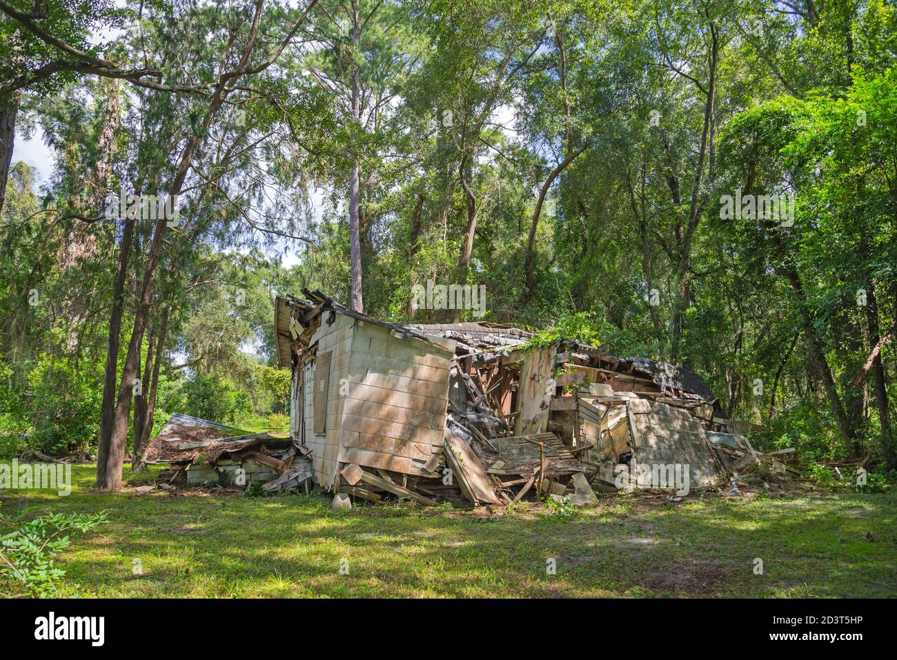 Maison abandonnée et abandonnée située dans les bois du centre-nord de la Floride. Banque D'Images