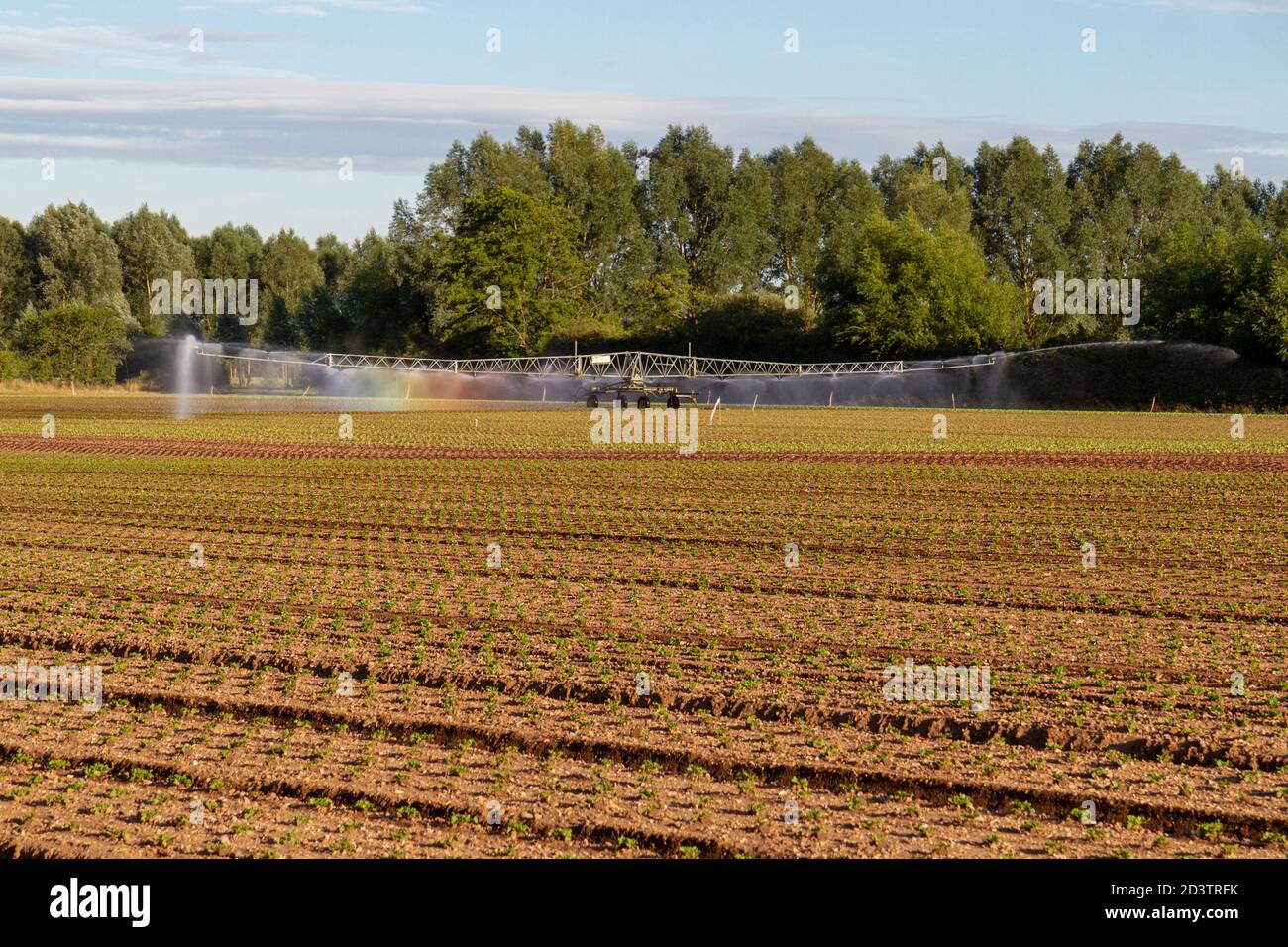 Un système d'irrigation sprinkleur mobile en action (et la création d'un arc-en-ciel) sur un champ en Angleterre. Banque D'Images