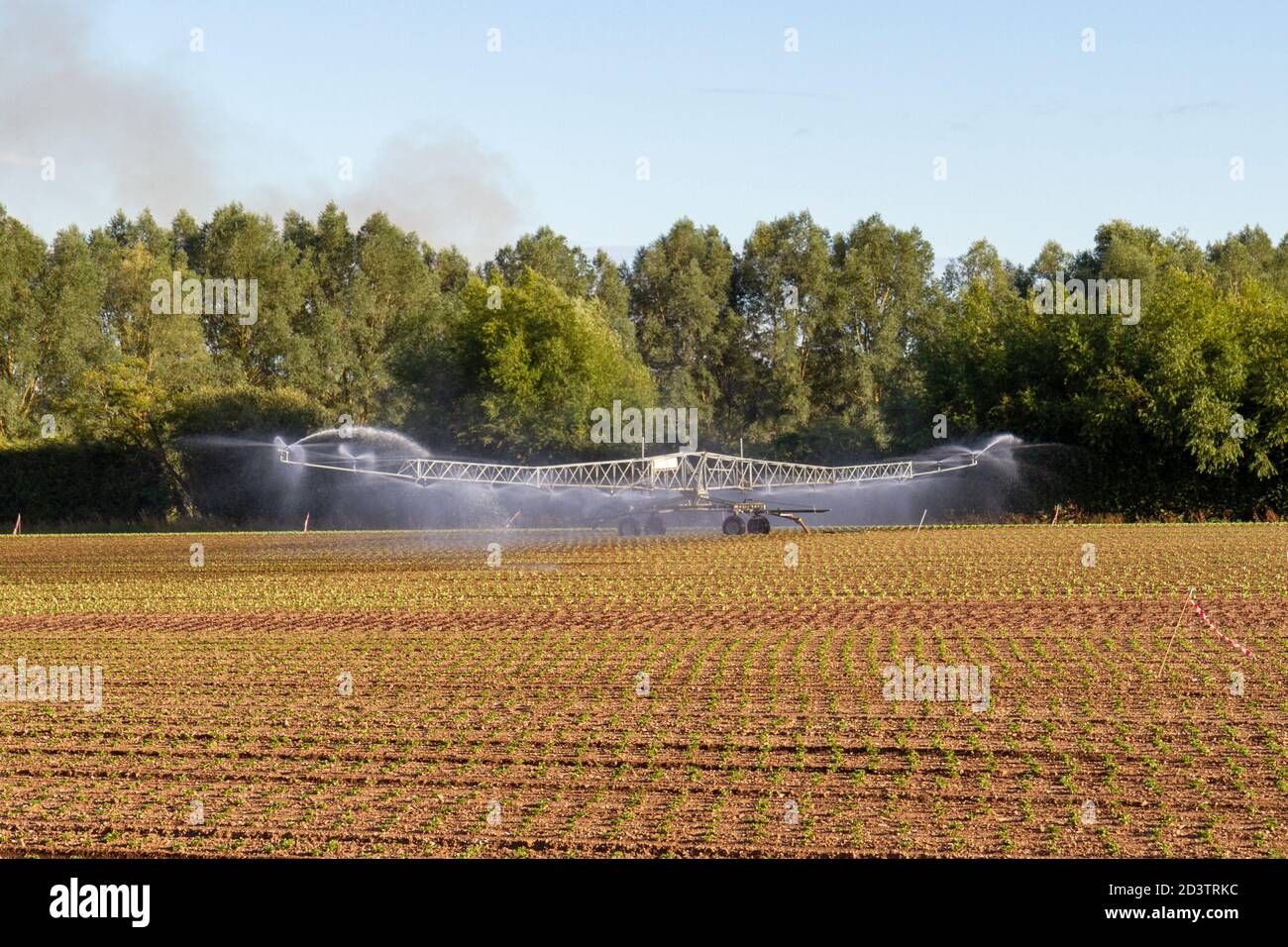 Un système d'irrigation sprinkleur mobile en action (et la création d'un arc-en-ciel) sur un champ en Angleterre. Banque D'Images