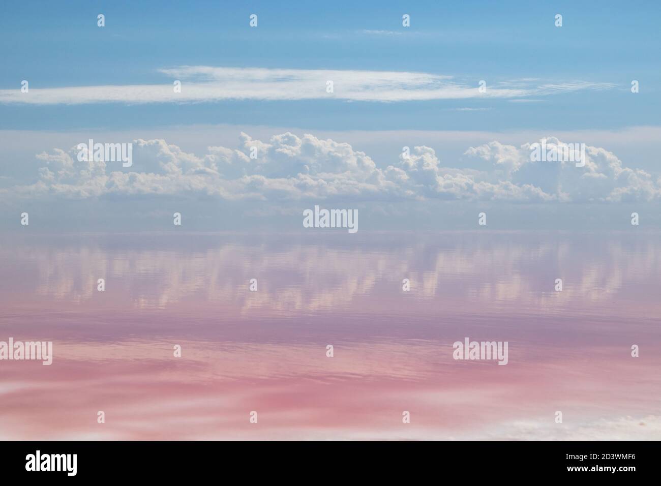 Côte de lac de sel rose avec sel blanc, surface d'eau rose et miroir de nuages pastel sur ciel bleu. Syvash ou Sivash, la mer putride ou Rotte Banque D'Images