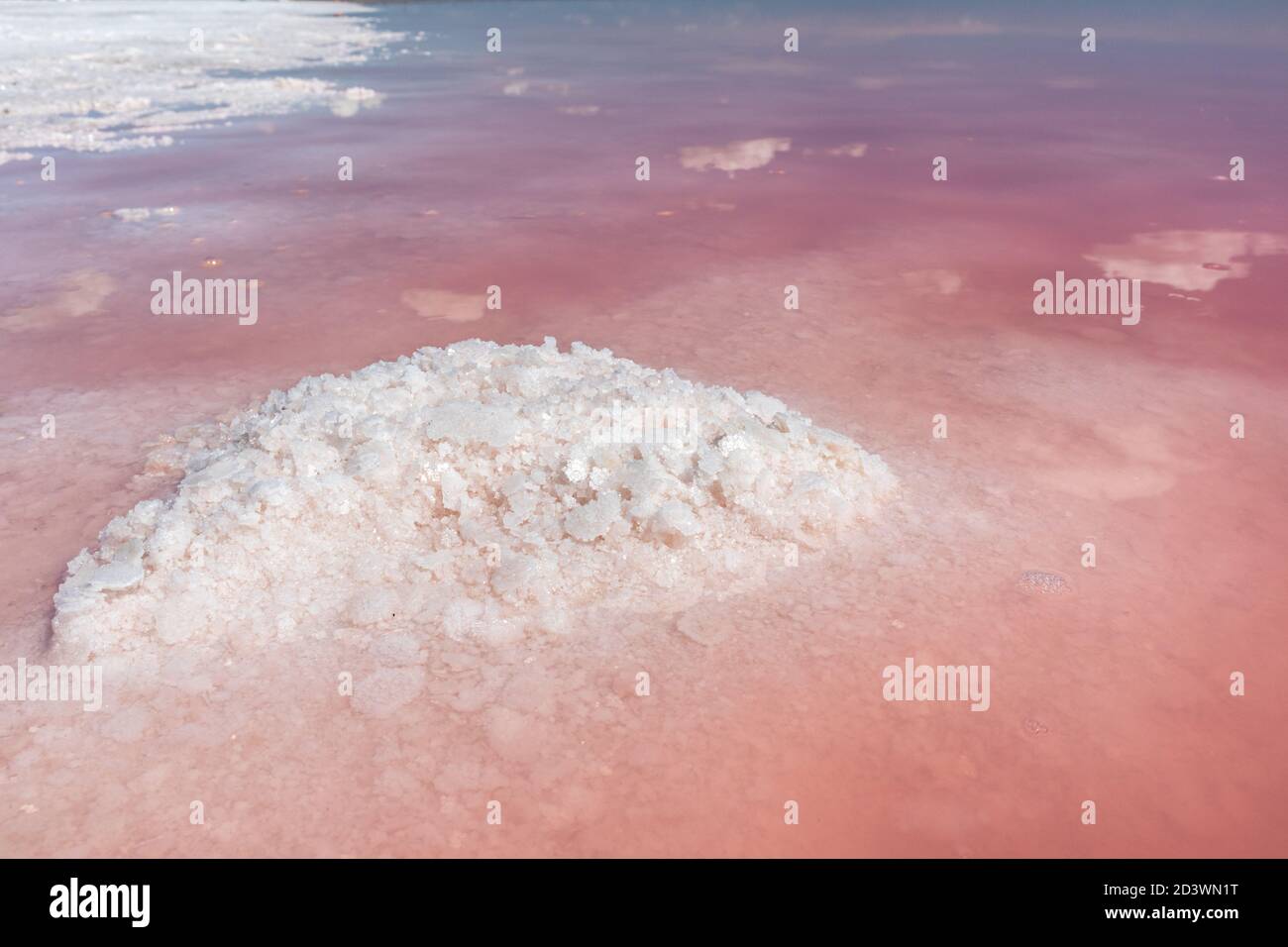 Bouquet de cristaux roses salées brillant en surface d'eau rose avec miroir réfléchissant. Loisirs de voyage spa Banque D'Images
