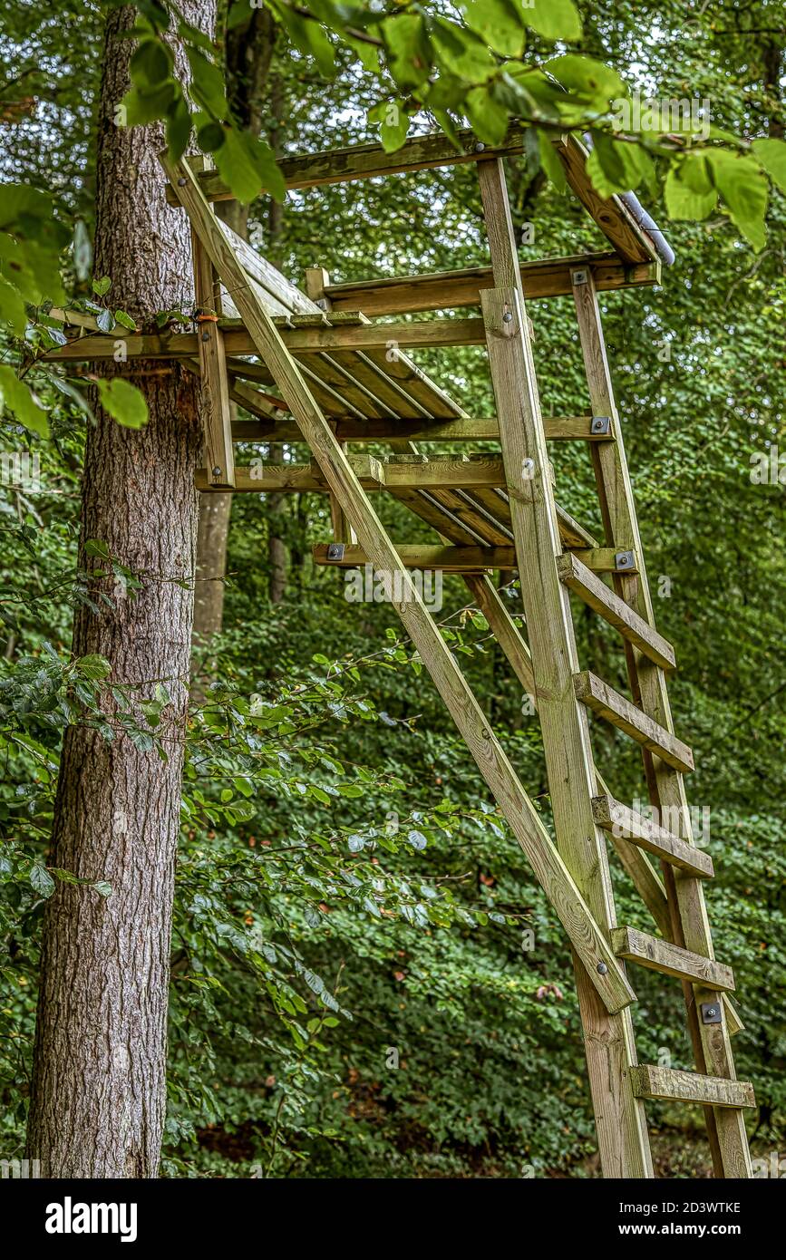 Siège de hunter élevé parmi les branches, appuyé contre un arbre, Jaegerspris, Danemark, 8 octobre 2020 Banque D'Images