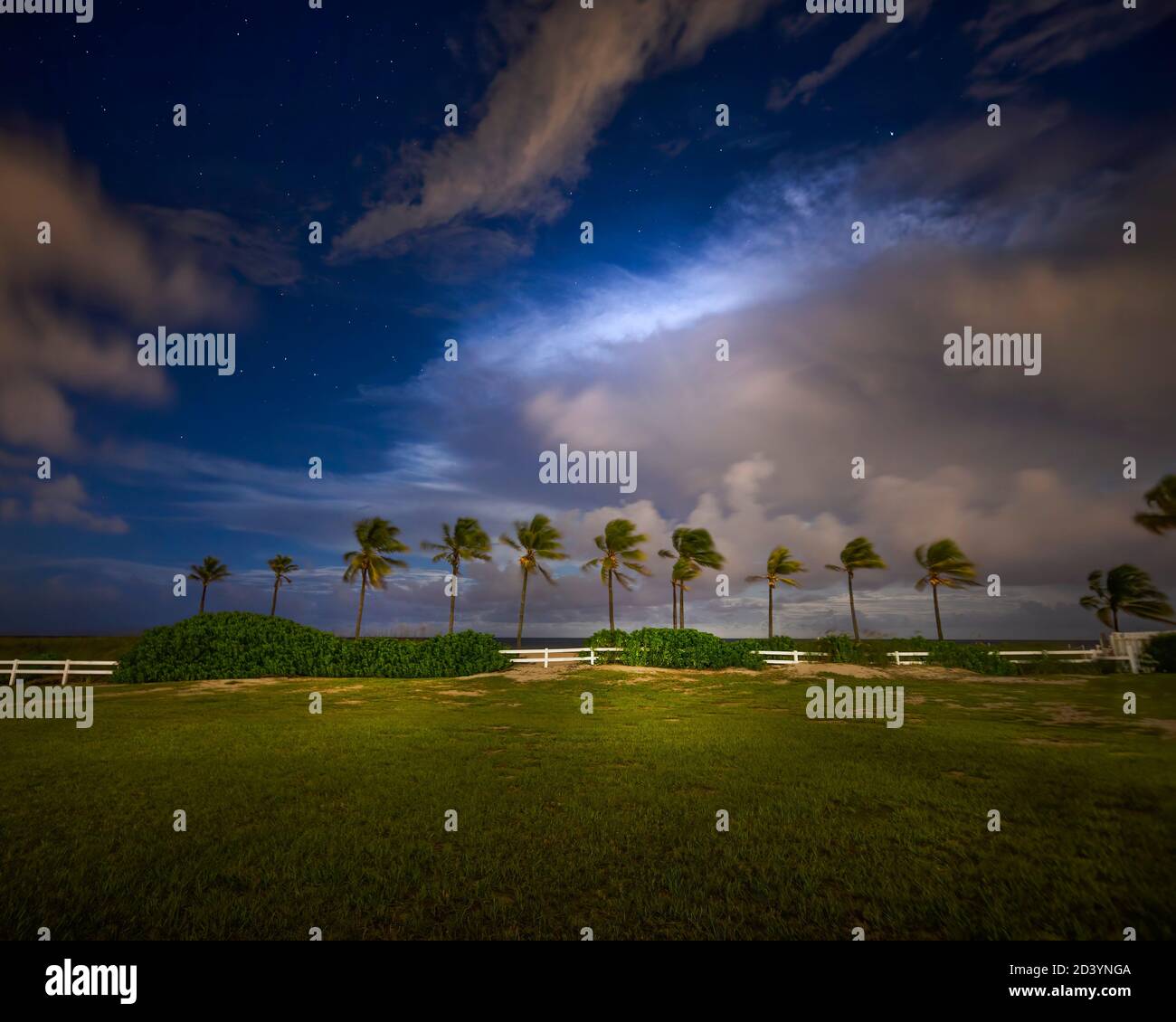Une rangée de palmiers à noix de coco se balancent dans la brise nocturne tandis que les tempêtes se brisent au-dessus de l'océan Atlantique au large de la plage de fort Lauderdale. Banque D'Images Une rangée de palmiers à noix de coco se balancent dans la brise nocturne tandis que les tempêtes se brisent au-dessus de l'océan Atlantique au large de la plage de fort Lauderdale. Banque D'Images