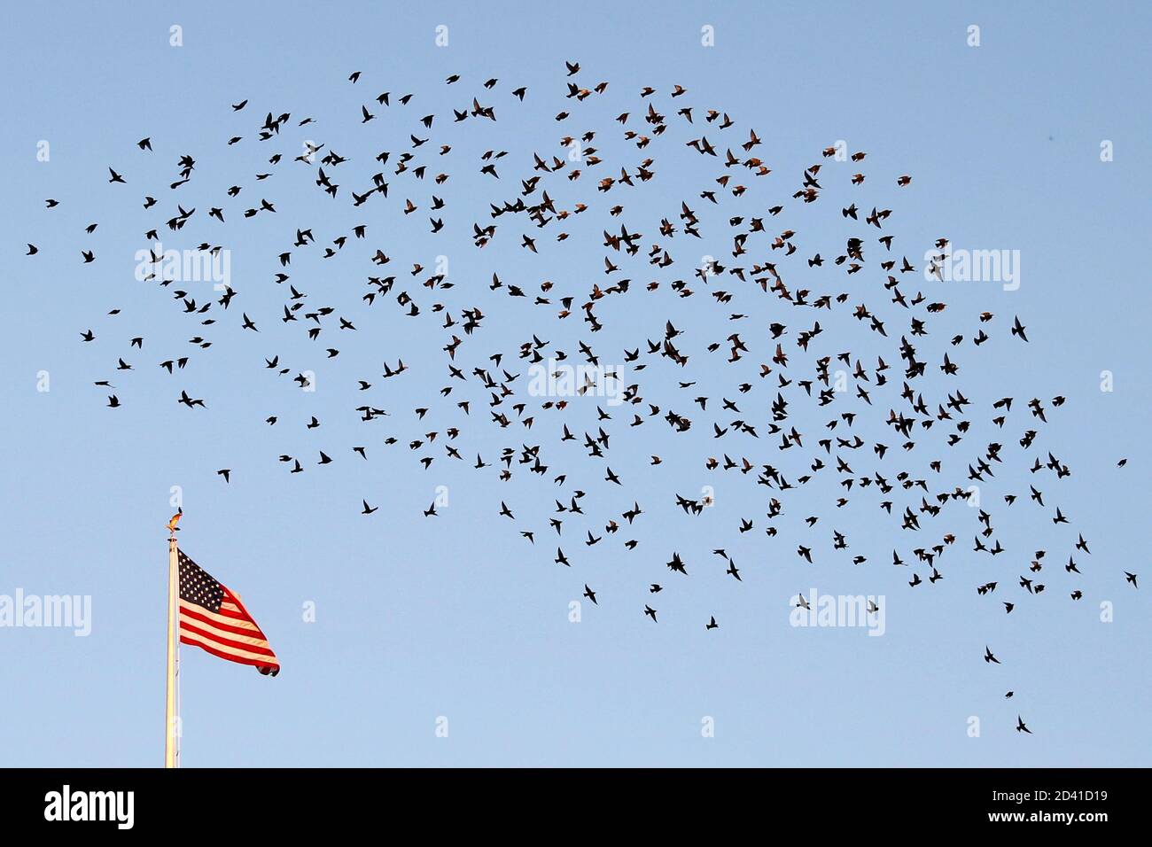 Washington, États-Unis d'Amérique. 08 octobre 2020. Des oiseaux survolent la Maison Blanche à Washington, DC, le 8 octobre 2020. Crédit: Yuri Gripas/Pool via CNP | usage dans le monde crédit: dpa/Alay Live News Banque D'Images
