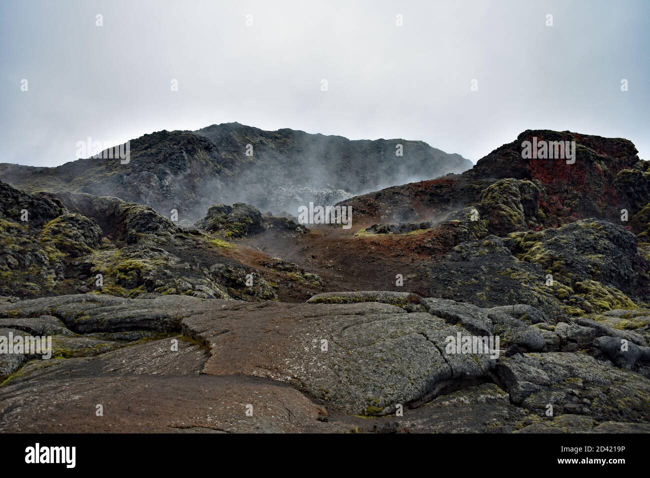 La vapeur s'élève des champs de Lavia de Krafla, dans la région du lac Myvatn, dans le nord de l'Islande. L'oxydation rouge et la mousse verte sont visibles sur la roche volcanique Banque D'Images