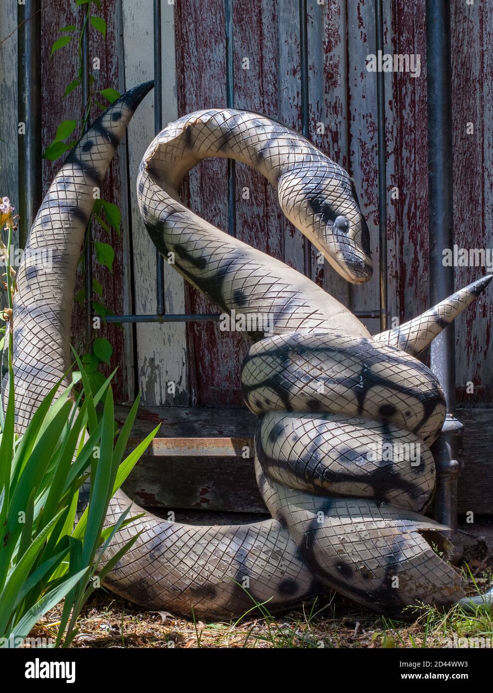 Une grande statue de serpent en plastique est enroulée et prête à frappez toute victime trop proche Banque D'Images