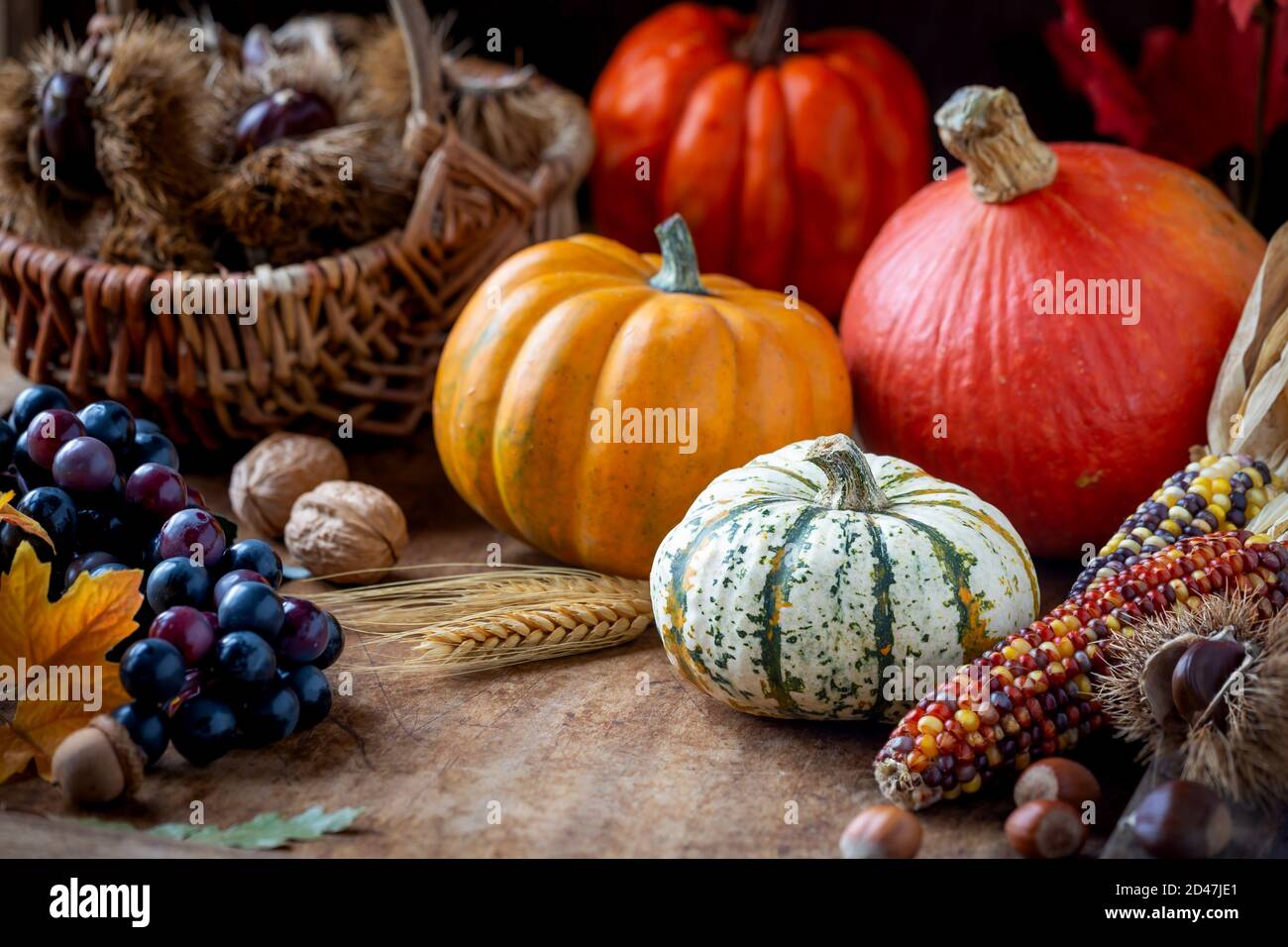 Concept d'automne avec récolte saisonnière - citrouilles traditionnelles, châtaignes, épis de maïs, raisins, noix et noisettes Banque D'Images