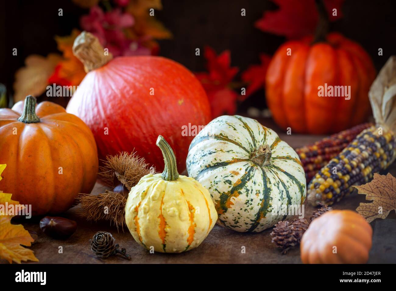 Concept d'automne ou d'automne avec récolte saisonnière - citrouilles traditionnelles, châtaignes, cornons et feuilles colorées. Composition de Thanksgiving Banque D'Images