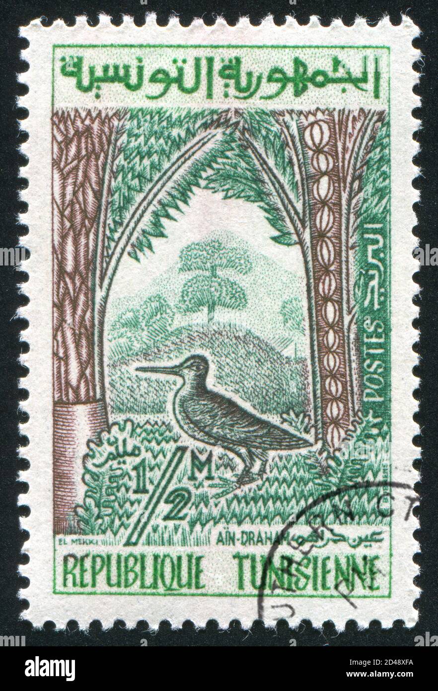 TUNISIE - VERS 1960: Timbre imprimé par la Tunisie, montre Woodcock dans la forêt d'Ain-Draham, vers 1960 Banque D'Images