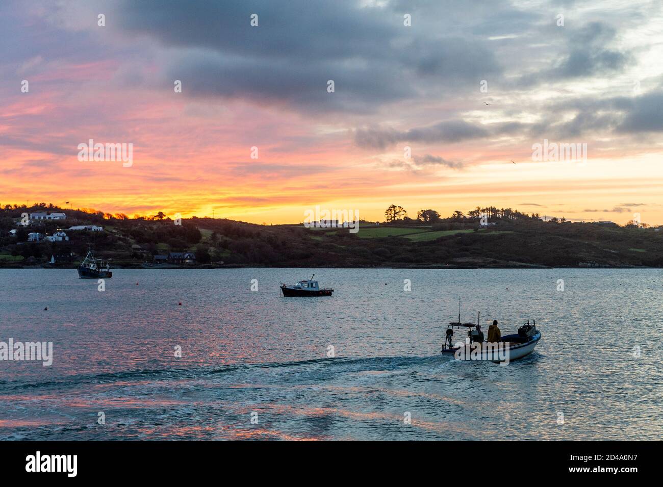 Schull, West Cork, Irlande. 9 octobre 2020. Un pêcheur pilote son bateau pour un voyage pour tirer ses pots de crabe dans Schull Harbour alors que le soleil se lève sur l'eau. Crédit : AG News/Alay Live News Banque D'Images